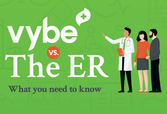 vybe vs. The ER [Infographic]