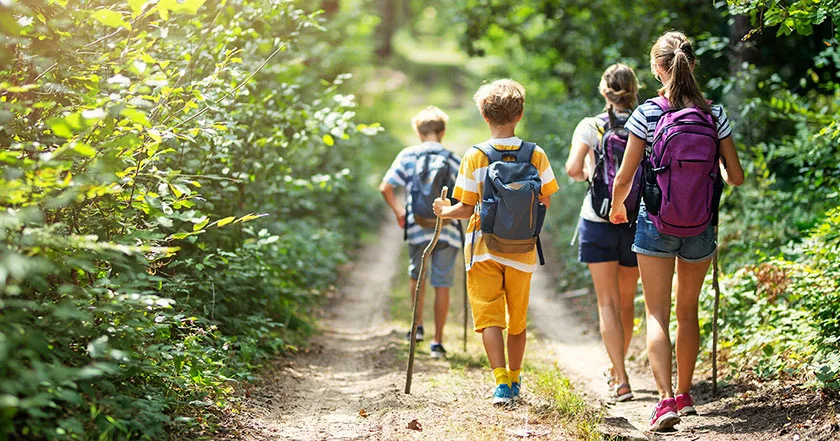 A wide-angle image of a group of children on a hiking trail.