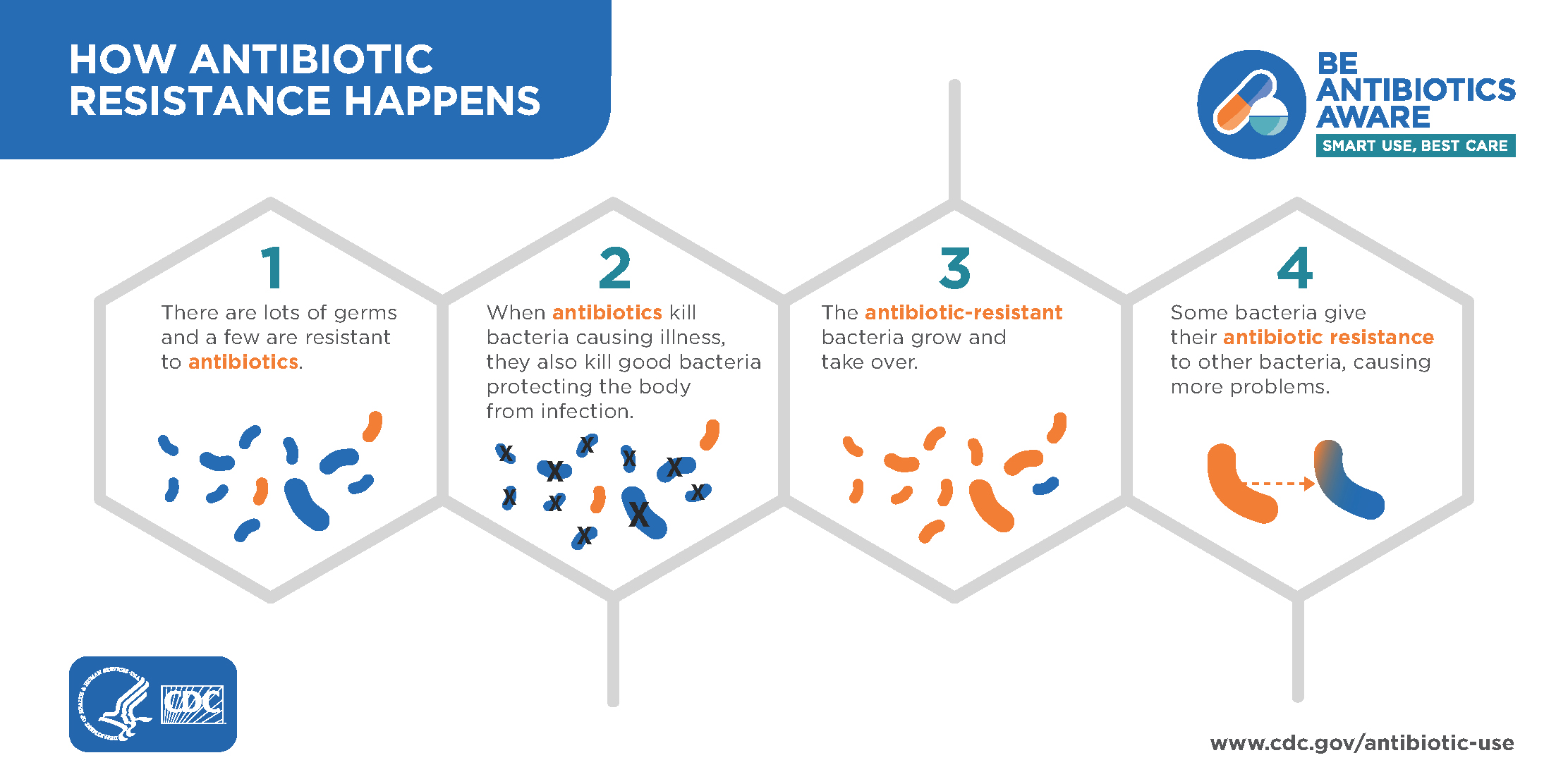 How Antibiotic Resistance Happens